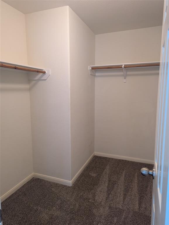 Building Photo - 3919 Hollow Cove Ln