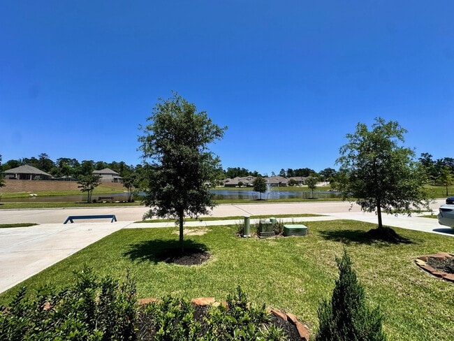 Primary Photo - 6151 White Spruce Dr
