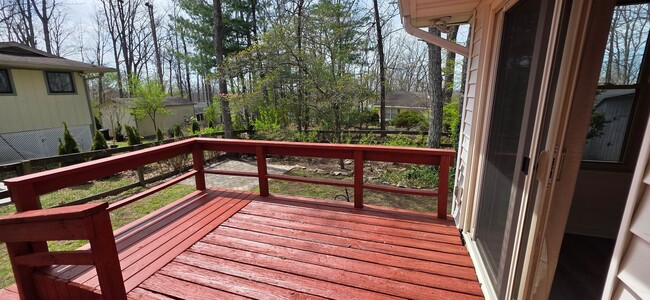 Building Photo - Location, Location, Location! This 3 bedroom / 2 bath is located within walking distance to Druid...