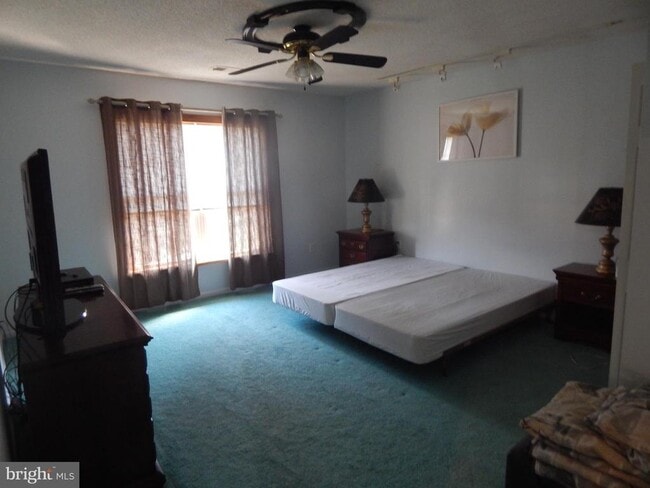 Building Photo - 2553 Warm Springs Rd