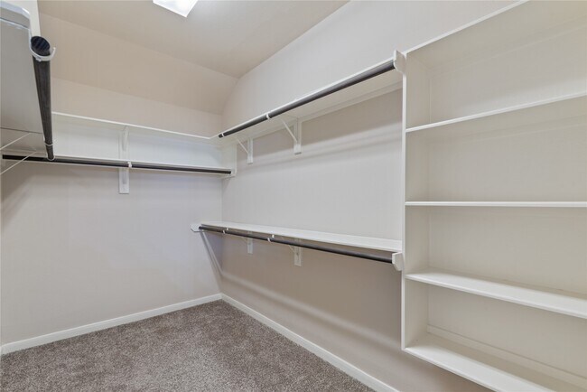 Building Photo - 31 Umbria Ln