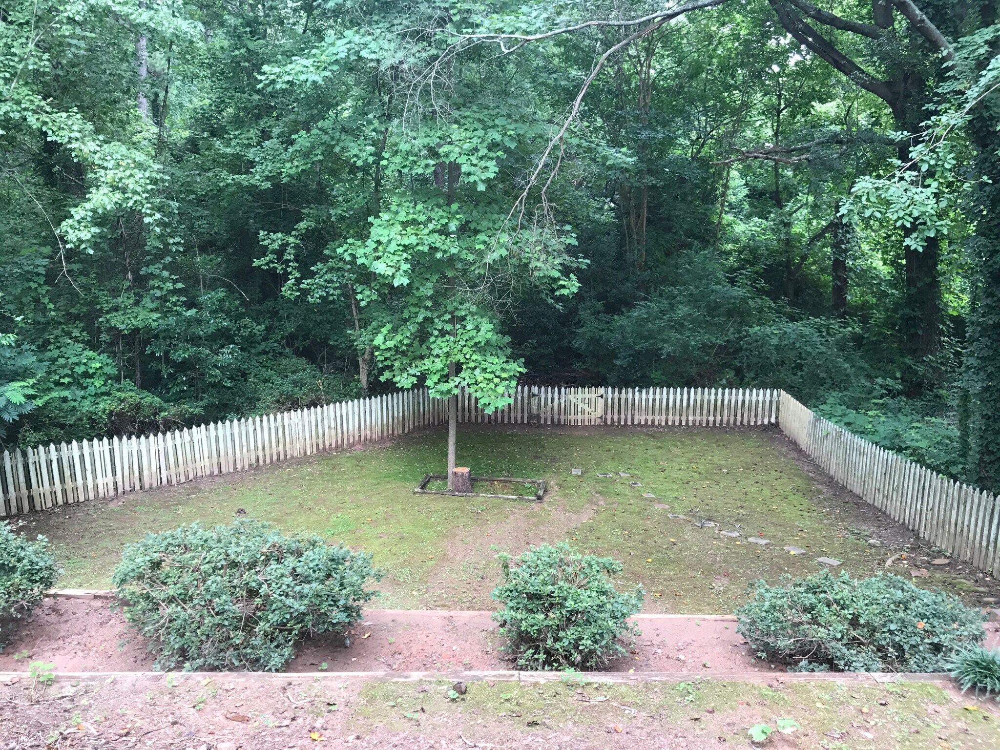Building Photo - 633 Clairmont Cir
