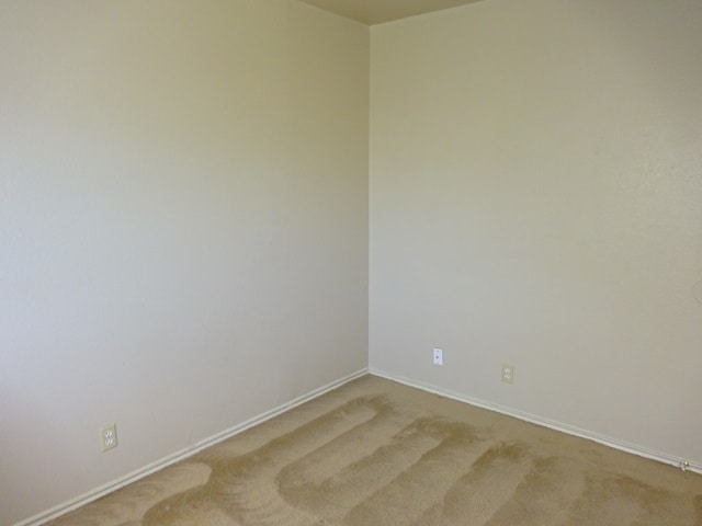 Building Photo - 3638 Candlehead Ln