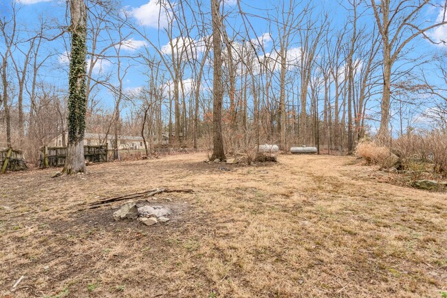 Building Photo - Mid-Century Lodge Home in Frederick with 6...