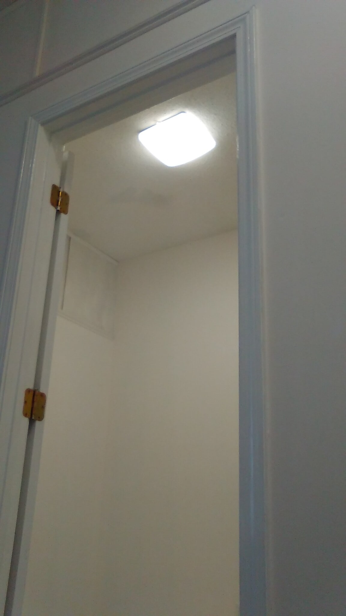 Building Photo - 48 Forest St