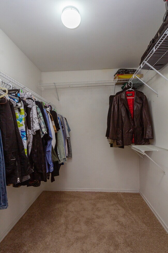 Building Photo - 1126 Tiverton Ct