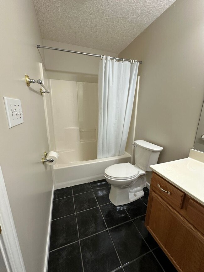 Building Photo - 256 Dumplin Ln