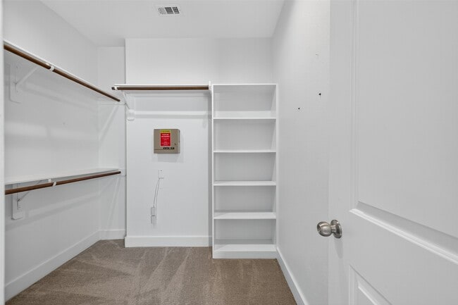 Building Photo - 1806 Schweikhardt St
