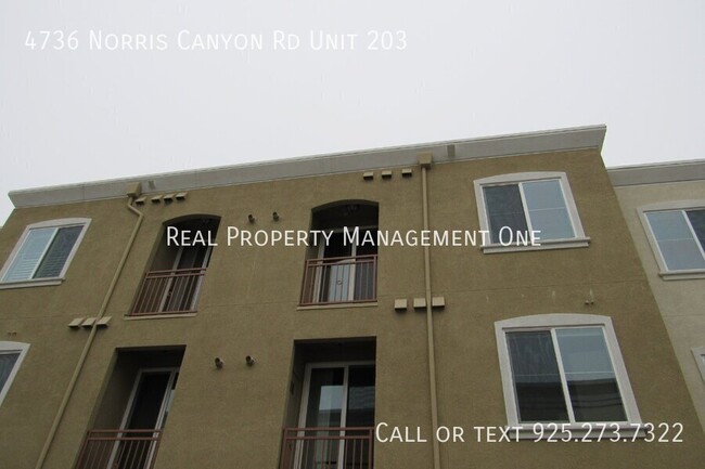 Building Photo - 4736 Norris Canyon Rd