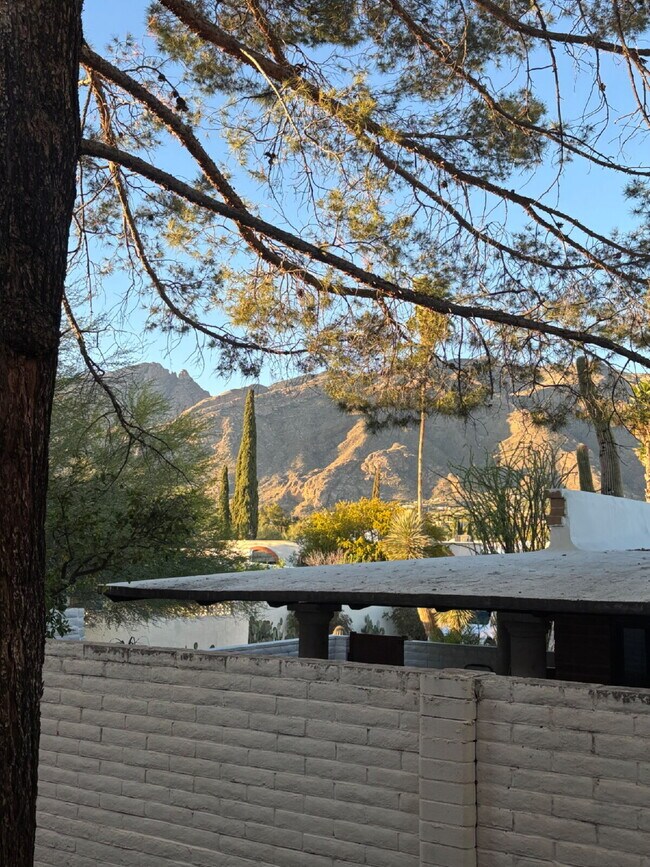 Building Photo - "Furnished 1-Bedroom Condo Retreat in Tucson’s Scenic Foothills!"