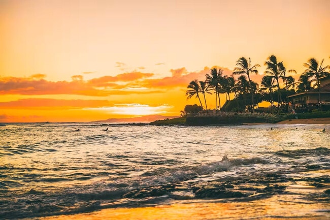 Building Photo - 2841 Milo Hae Loop