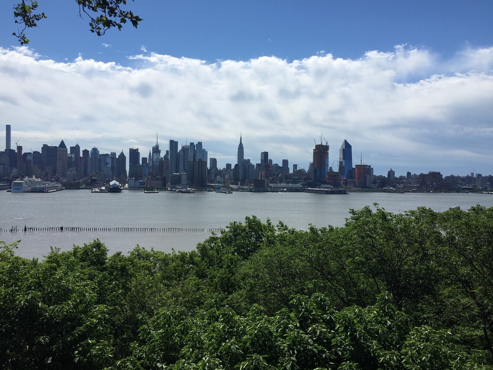 Building Photo - 4315 Park Ave