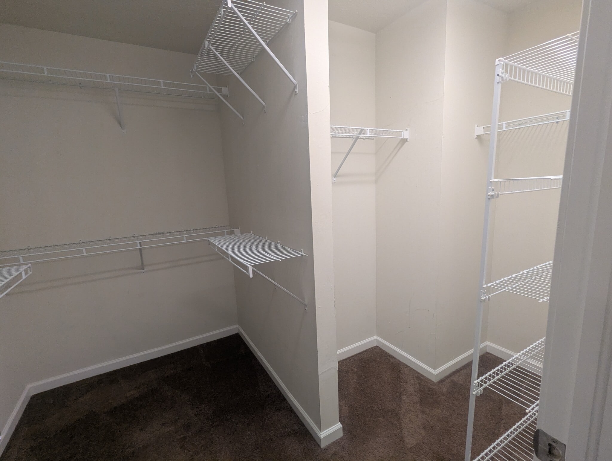 Primary suite walk-in closet - 6465 Park Pointe Ct