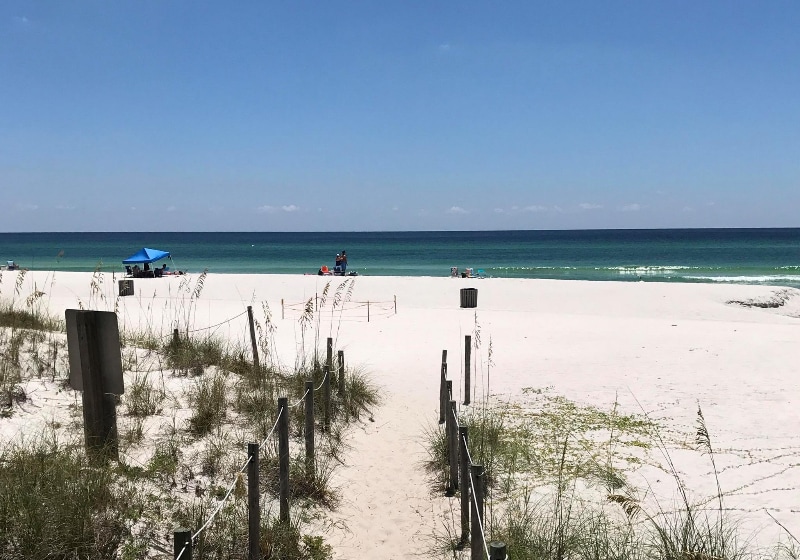 Building Photo - 606 Lantana St