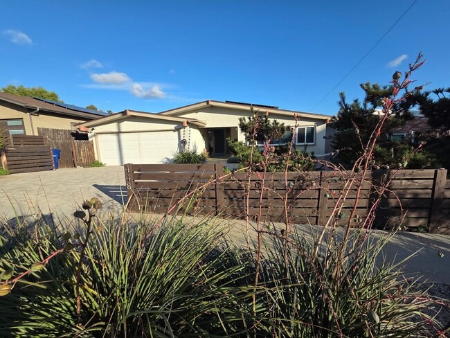 Primary Photo - Wonderful Mid Century Home available for lease