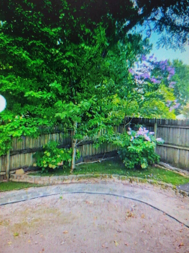 Building Photo - 4 bedroom 2.5 baths in Kempsville