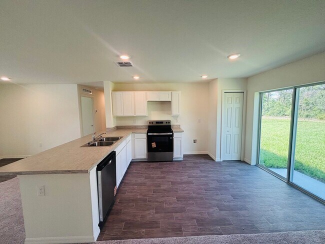 Building Photo - 3/2 open living and kitchen