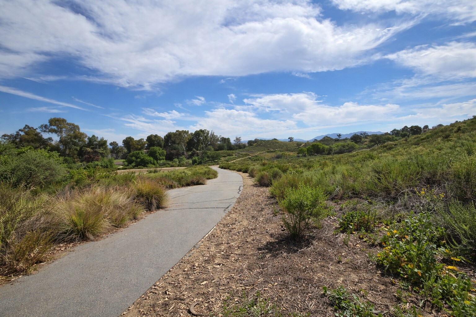 Building Photo - 27014 Carmelita Dr