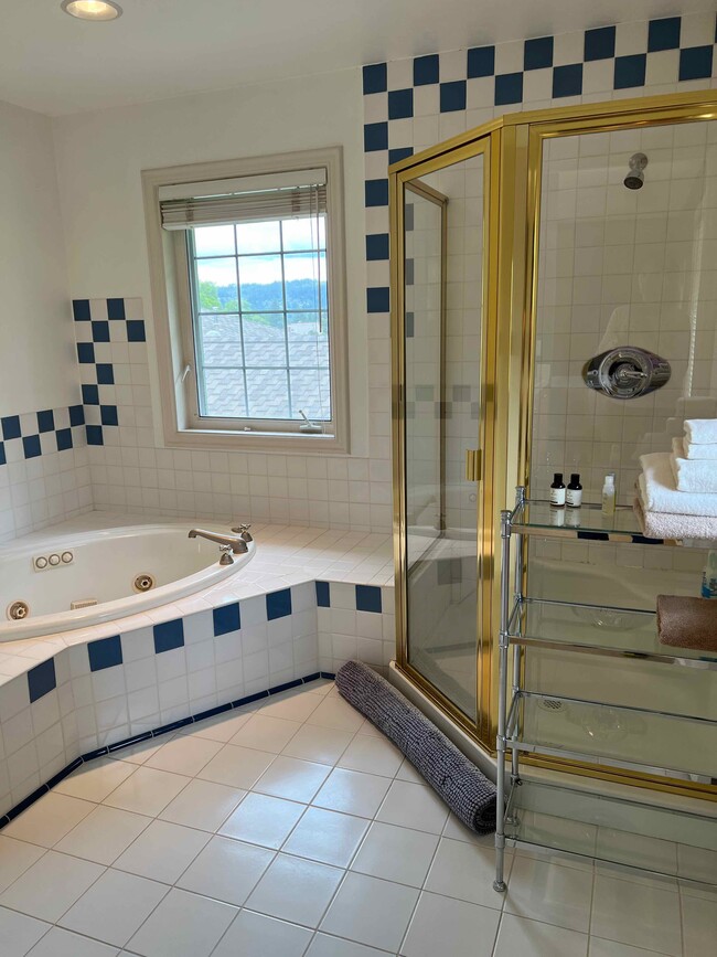 large Jacuzzi tub, large shower - 217 Middlefield Rd