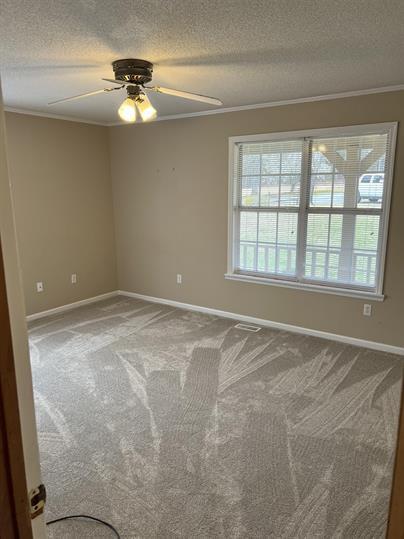 Building Photo - "Charming 3-Bed Home with Finished Basement & Hardwood Floors at 307 Capps Road, Walhalla"