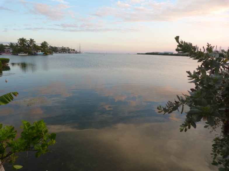 Primary Photo - 6800 Maloney Ave