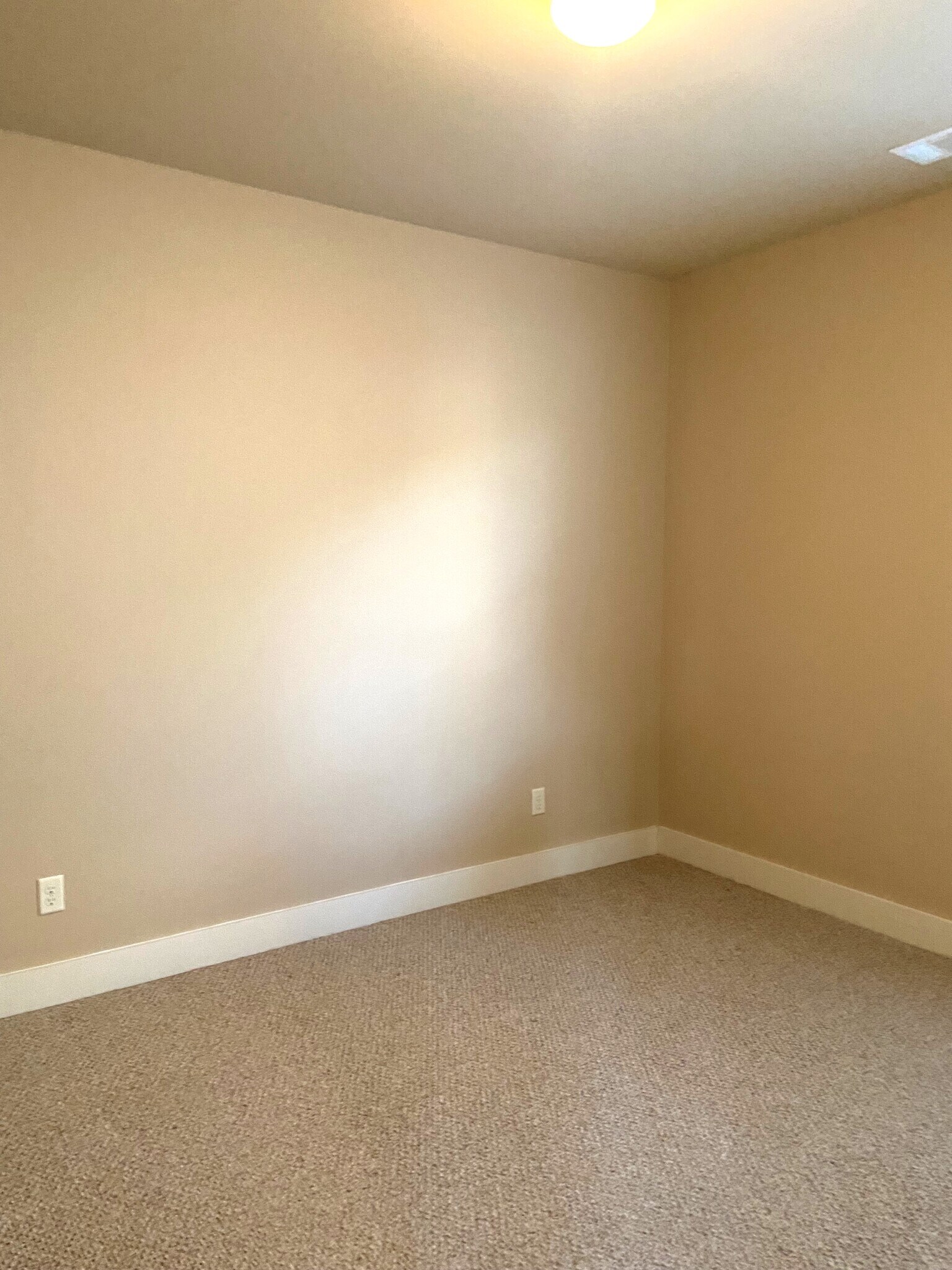 Building Photo - 1036 Crawford Ct