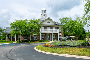 Building Photo - The Reserve at Williams Glen