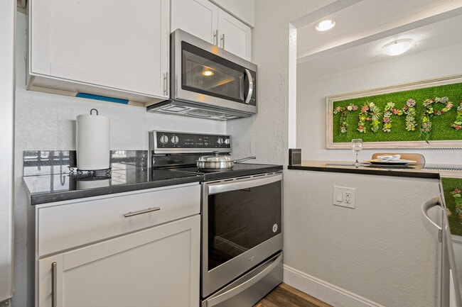 Building Photo - 2502 N Rocky Point Dr