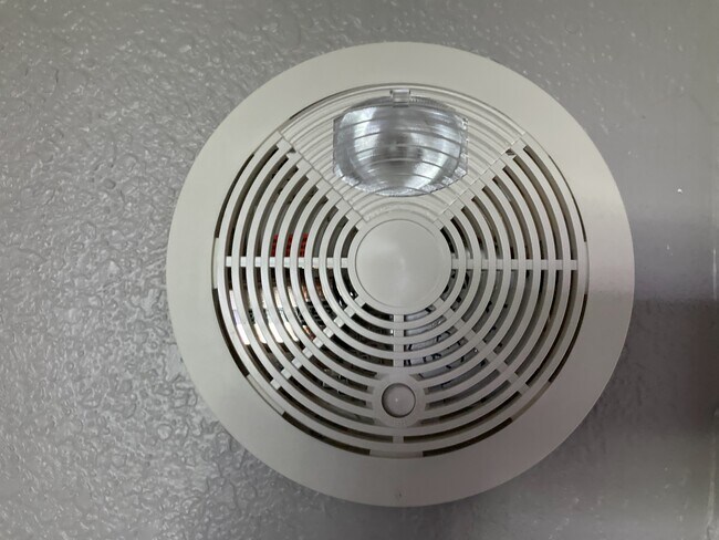 Building Photo - 4920 4th Ave