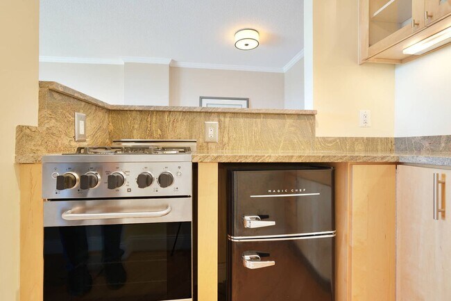 Building Photo - Luxury and fully updated studio in America...