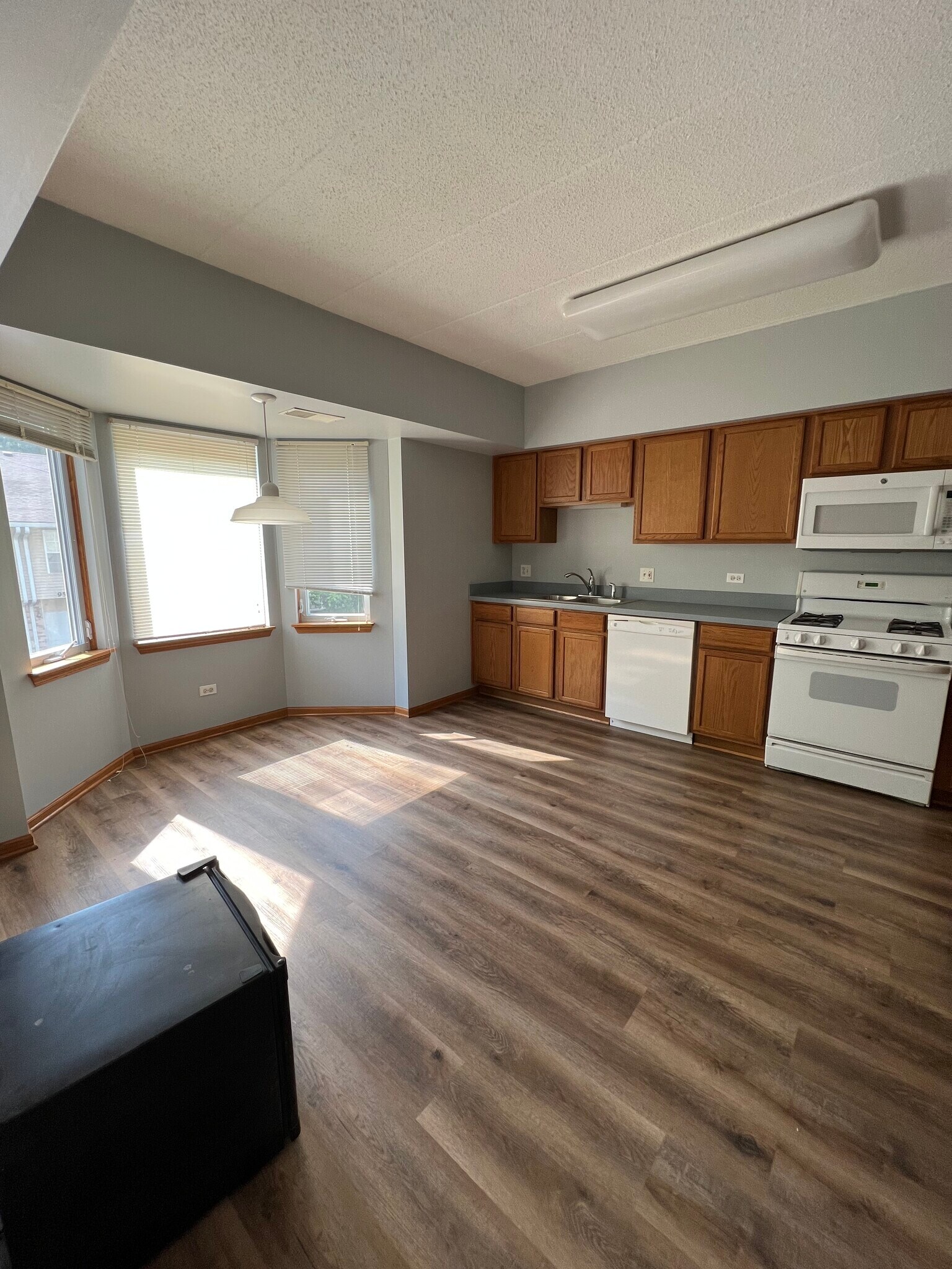 Building Photo - 943 Elderberry Cir