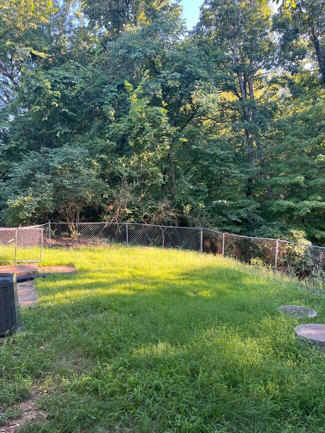 Backyard - 5554 Carter Dr