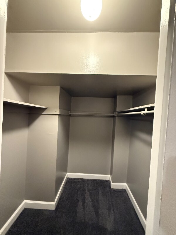 Building Photo - 3307 Huntley Sq Dr