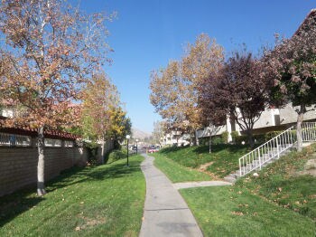 Building Photo - Canyon Oaks 2 Bedroom Rental Home in Canyo...