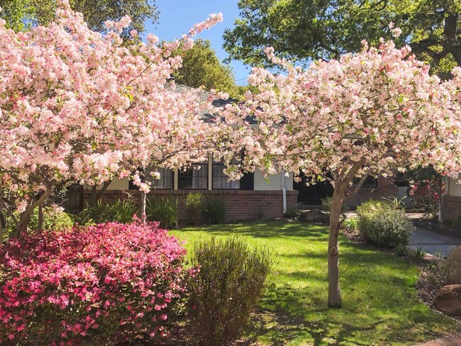 Building Photo - Luxurious Short Term Lease in Atherton: Ov...