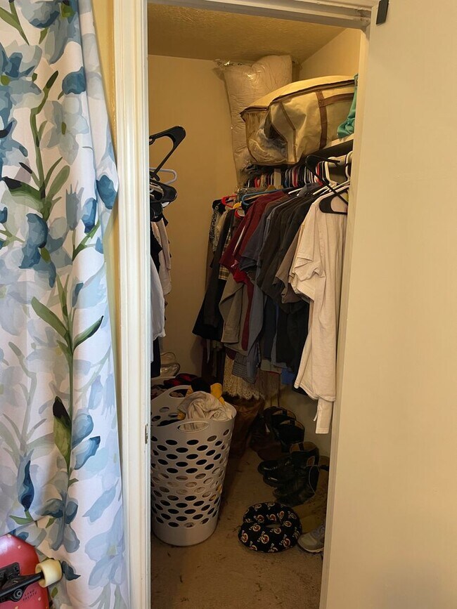 Building Photo - AUGUST 2026 PRE-LEASE!  Charming 3 Bed, 2 ...