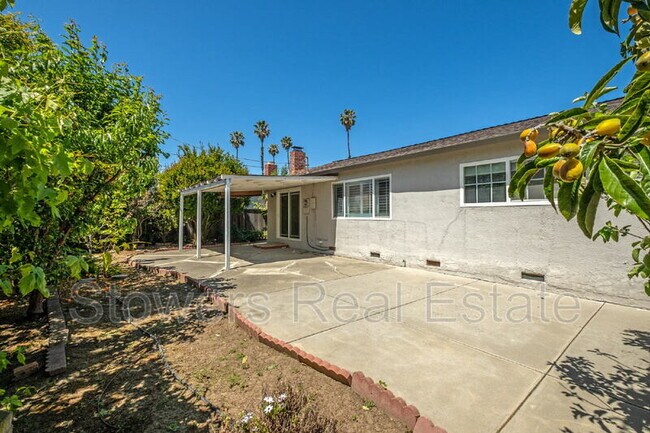 Building Photo - 4840 Coco Palm Dr
