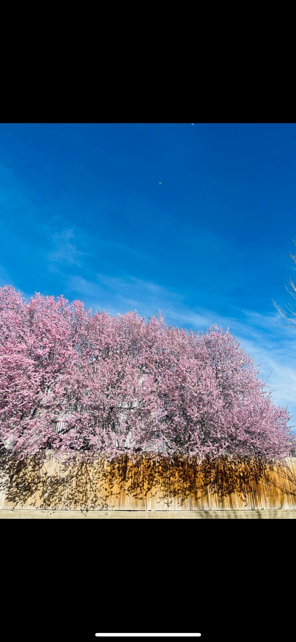 Building Photo - 9867 S Mumford Dr