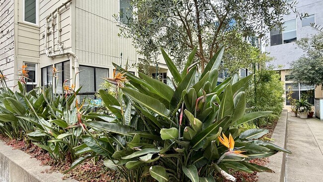 Building Photo - Urban Oasis on Valencia St – 2BR/1BA with ...