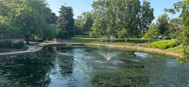 Building Photo - 16 E Old Willow Rd