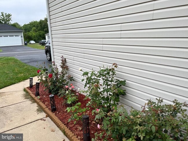 Building Photo - 113 Hotchkiss St