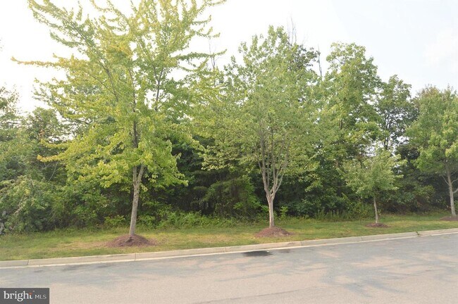 Building Photo - 25218 Justice Dr