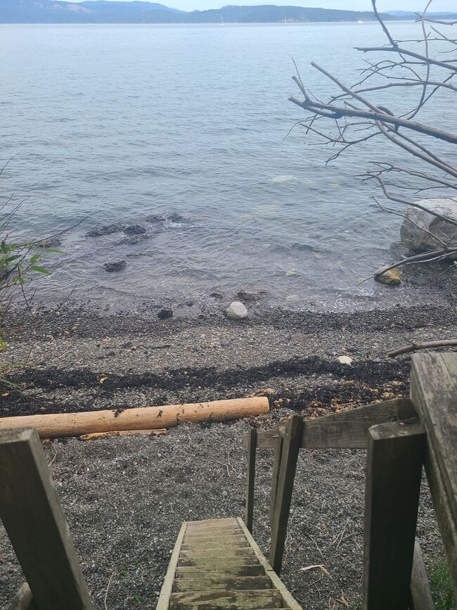 Building Photo - Charming Waterfront Cabin on San Juan Drive 5 month lease through winter.