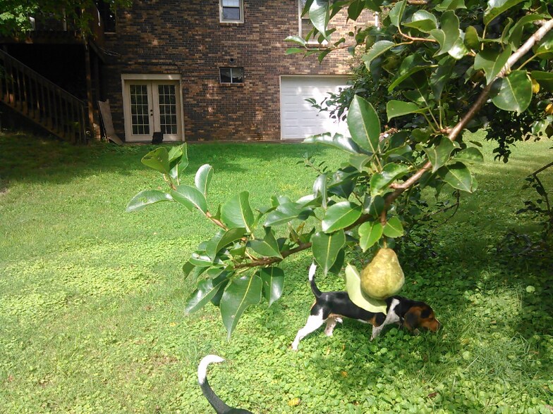 Building Photo - 8310 Middle Butler Rd