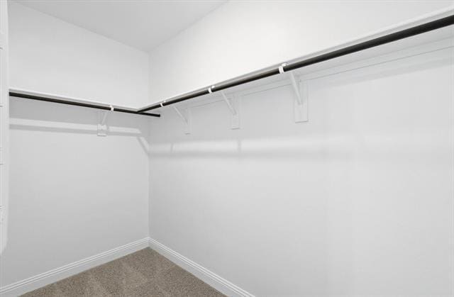 Building Photo - 1504 Lake District Dr