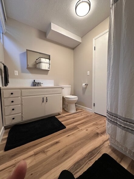 Downstairs BR - 928 W Lake St