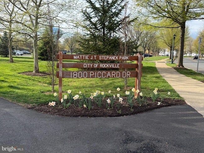 Building Photo - 300 Garden View Square