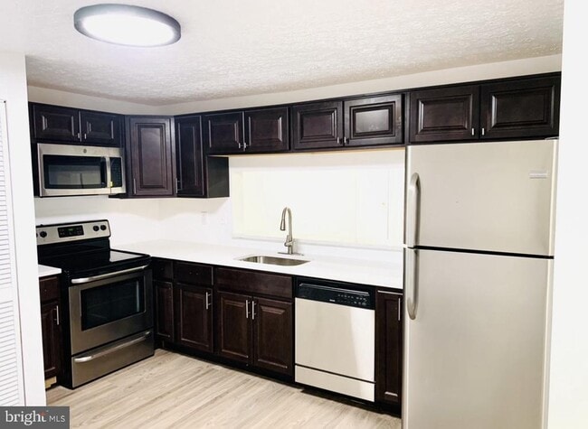 Building Photo - 11815 Quassia Court