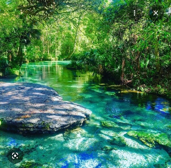 kelly spring park - 650 E Warren Ave