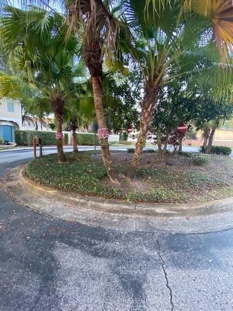 Building Photo - 5504 Carrollwood Key Dr